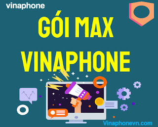 Cách Đăng ký gói MAXS, MAX70, MAX100, MAX200, MAX300 của VinaPhone