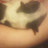 Mandy Panda avatar image