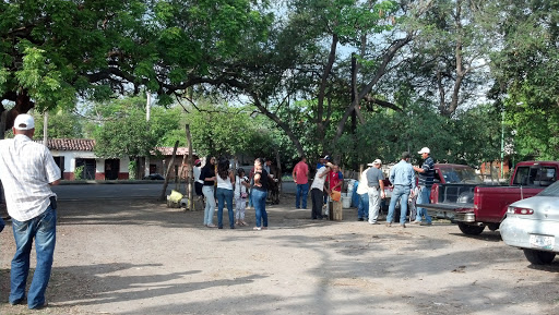 Pollos a la Leña Cabañez, Cda. Colima-Coquimatlán 1, Parque Industrial, 28075 Colima, Col., México, Restaurante especializado en pollo | COL