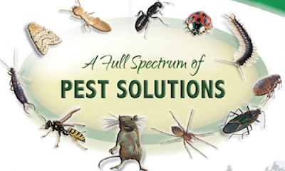 Photos of Real Exterminators Pest Control and Cleaning Services