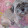 PaulNSusan Boozer PaulNSusan Boozer's profile photo