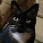 Melissa Luffy avatar image