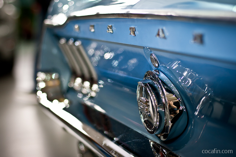 Niebieski Mustang