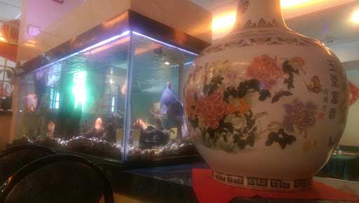 Chinese Restaurant «Ocean Empire», reviews and photos, 340 US-202, Pomona, NY 10970, USA
