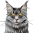 Always Hungry Cat