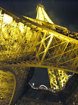 Looking up its underbelly Looking up its underbelly
