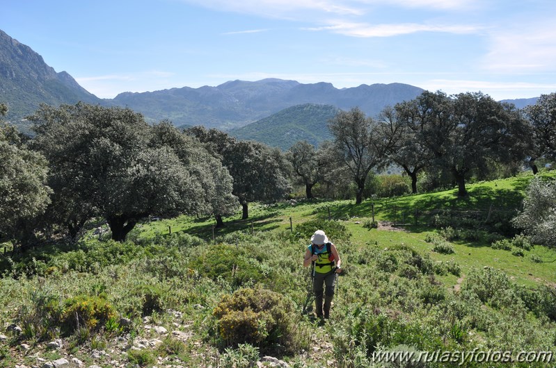 Cerros Albarracinejo-Peñuelas-Ponce-Albarracin y Alto del Puntal