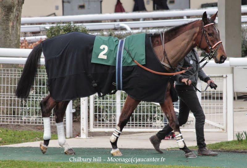 Photos Auteuil 1-03-2015 IMG_7046