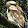 Michelle Arquette Michelle Arquette's profile photo