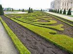 Cool, angular shot of some Versailles hedges