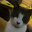TheSiSarr avatar image
