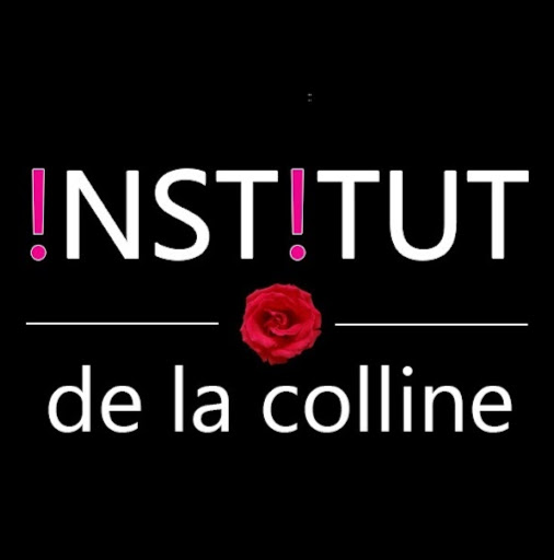 INSTITUT DE LA COLLINE logo