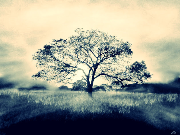 Cover photo