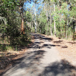 Walking up to the Ridge Trail track head (238466)