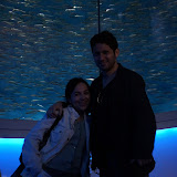 Monterey Aquarium - April 14, 2012