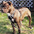 Andrew Bagby avatar image