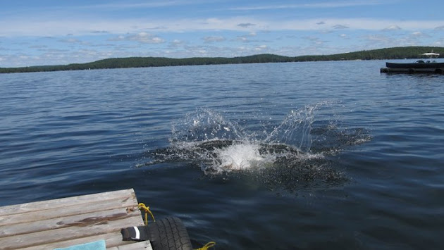 Cover photo