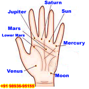 Palmistry Mounts Or Parvat And Marriage Life