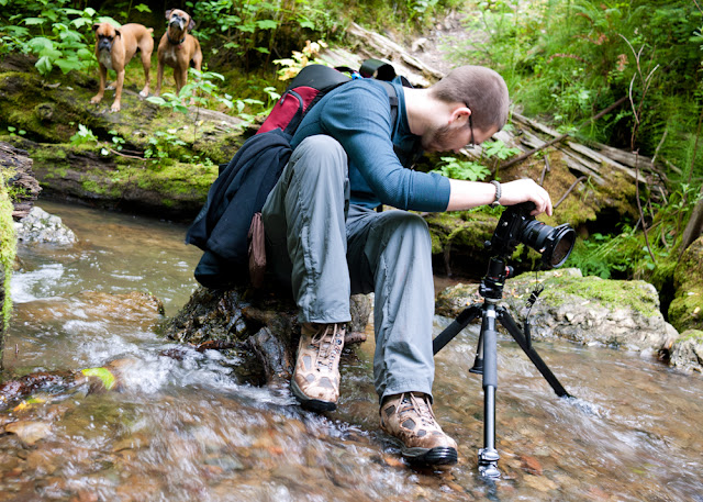 the photographer