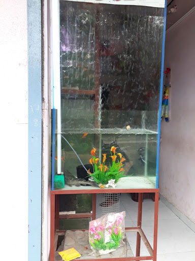 Raj Aquarium & Pet Shop, near fatima Ambernath, west, Shastri Nagar Rd Number 2, Kailash Nagar, Goregaon West, Mumbai, Maharashtra, India, Pet_Shop, state MH