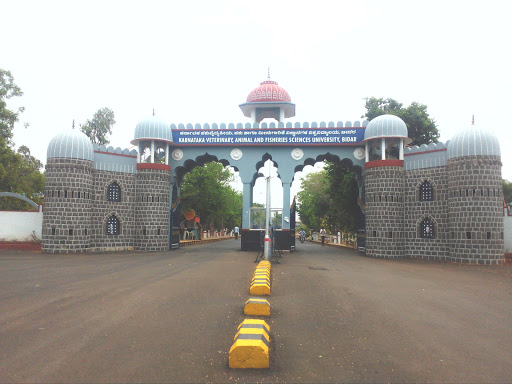 Karnataka Veterinary, Animal and Fisheries Sciences University, State Highway 15, Nandinagar, Bidar, Karnataka 585401, India, University, state KA