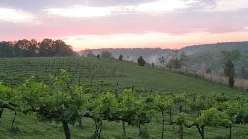 Winery nearby top