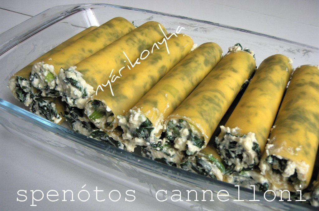 Nyárikonyha: spenót olaszul – spenótos cannelloni