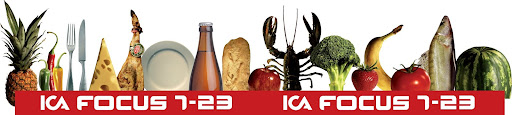 ICA Focus