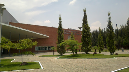 Centro Universitario de la Ciénega, Col., Av Universidad 2000 1115, Linda Vista, 47820 Ocotlán, Jal., México, Universidad pública | JAL