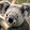 Gracie Bradshaw Gracie Bradshaw's profile photo