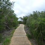 Footpath near La Perouse (311255)