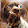 Pablo Bleyer Pablo Bleyer's profile photo