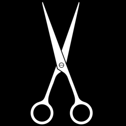 Le Coiffeur Lisette logo