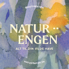 Naturengen.dk | Webshop med alt til din vilde have