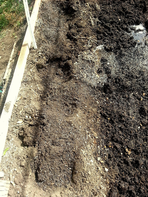 Worked and watered trench, started bed.
