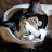 Bobbi Abood avatar image