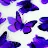 Indigo Butterfly