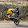 Rick Mazurek Rick Mazurek's profile photo