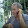 alfredo molina alfredo molina's profile photo