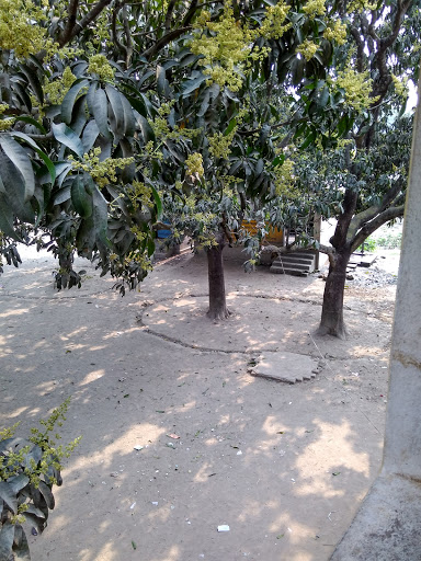 Kankinara Arya Vidyalaya, SH 1, Kankinara, Jagatdal, Bhatpara, West Bengal 743194, India, State_School, state WB