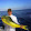 Andrei Mellas Andrei Mellas's profile photo