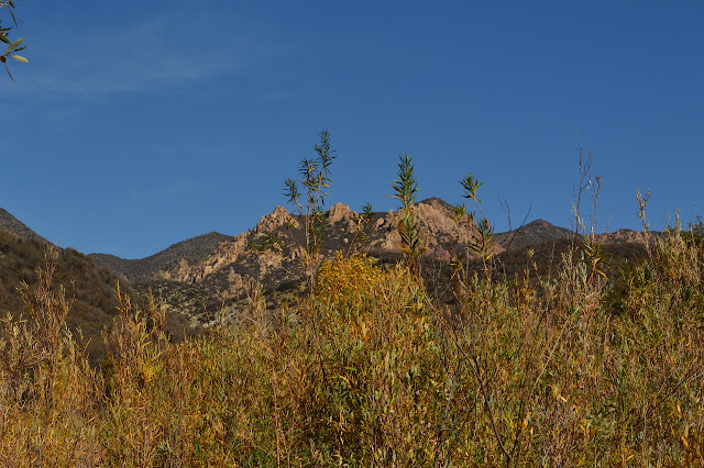 spires of rocks over the willow