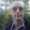 Günter Blön Günter Blön's profile photo