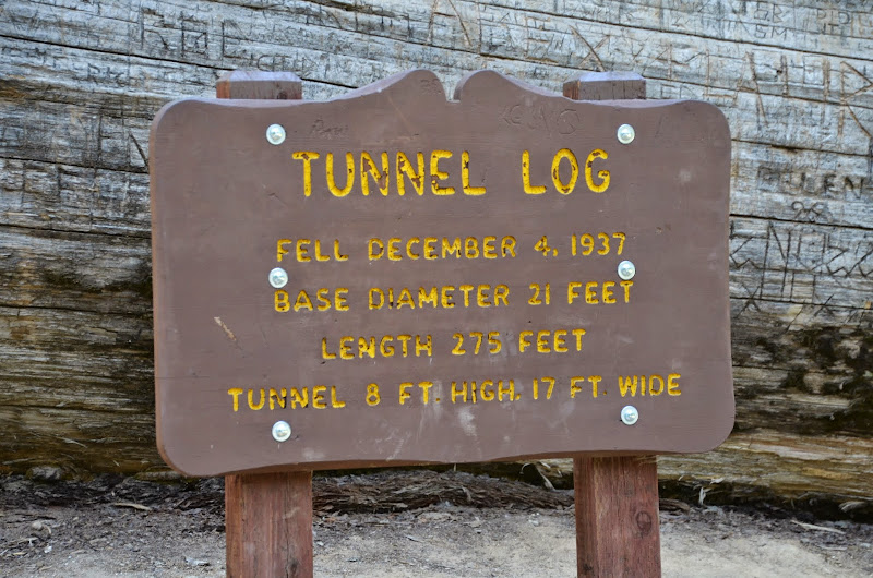 tunnel log