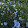 Ailita Whalen Ailita Whalen's profile photo