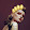 TARA ABRAXAS TARA ABRAXAS's profile photo