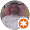 Mahmoud Abo-zayed