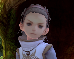 Dragon+nest+cleric+hairstyles