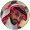 محمد ال بحري