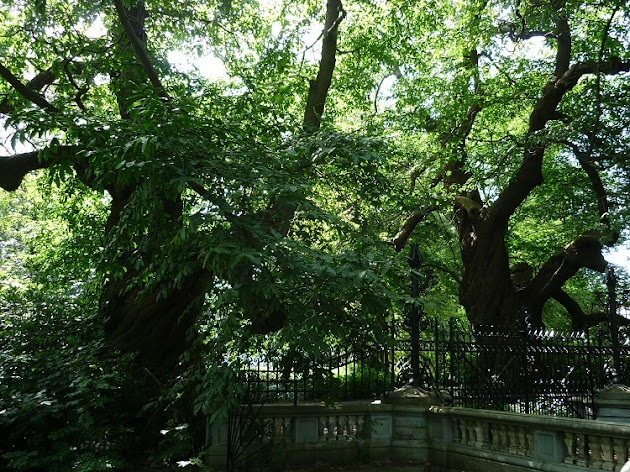 Cover photo